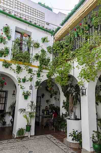 Córdoba 190 - barrio san Basilio - Patios del Alcazar Viejo - calle San Basilio 22.jpg